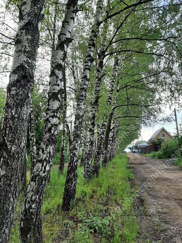 тер МКАД 21-й километр, Московская область, городской округ Ленинский, Развилка фото