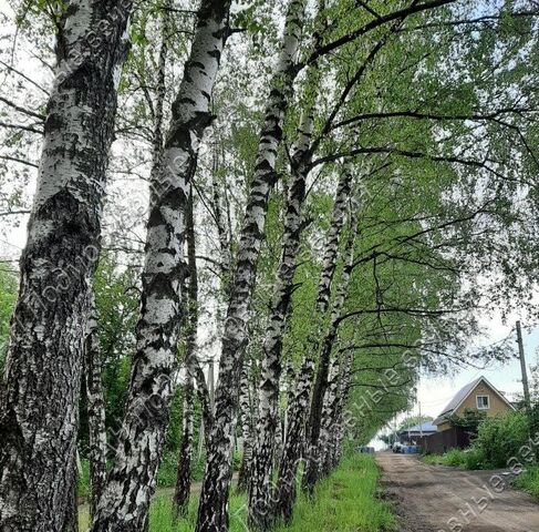 земля ДНТ, Зябликово, 128, Ленинский городской округ, Рассвет фото