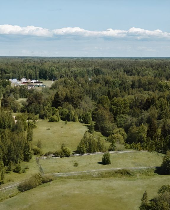 земля р-н Тосненский д Аннолово ул Южная 86 Федоровское городское поселение фото 1