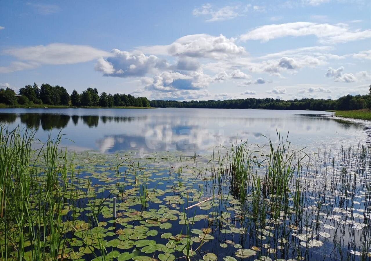 земля р-н Вытегорский д Палозеро сельское поселение Оштинское, Вытегра фото 2