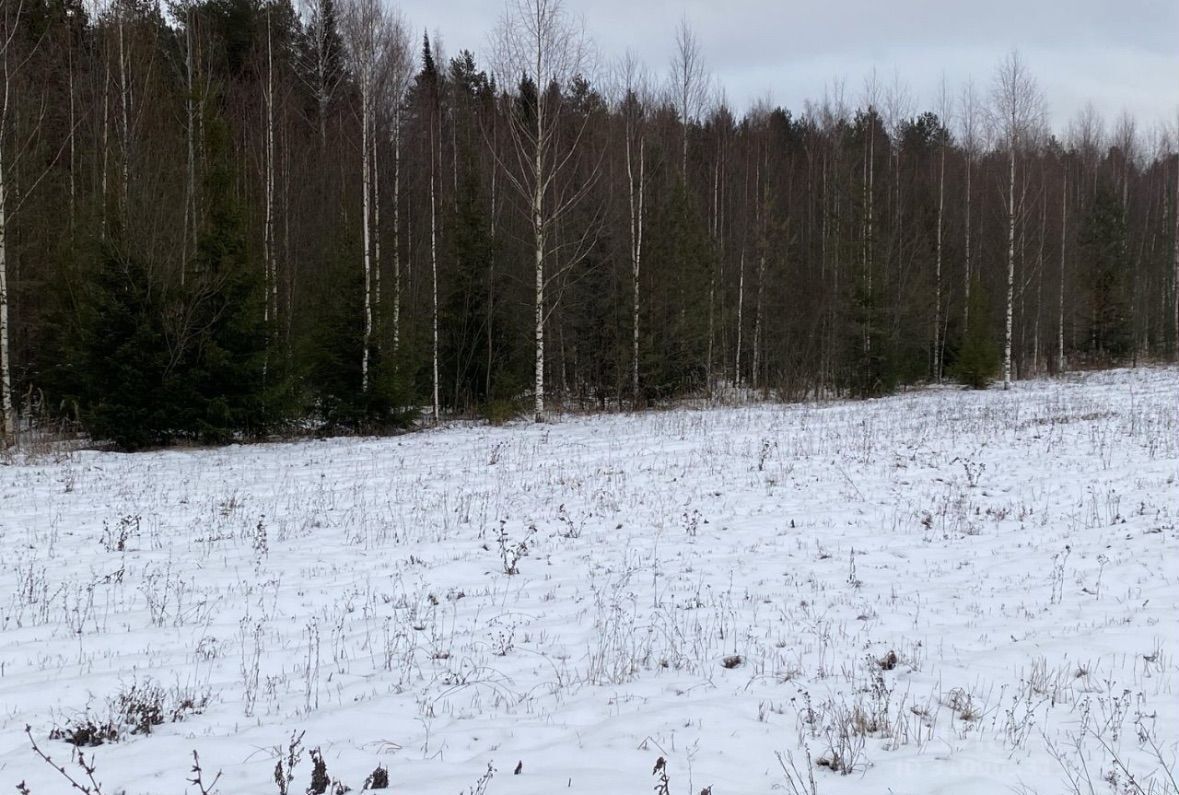 земля р-н Слободской д Суднишниковы ул Вятка Шиховское сельское поселение, Кирово-Чепецк фото 2