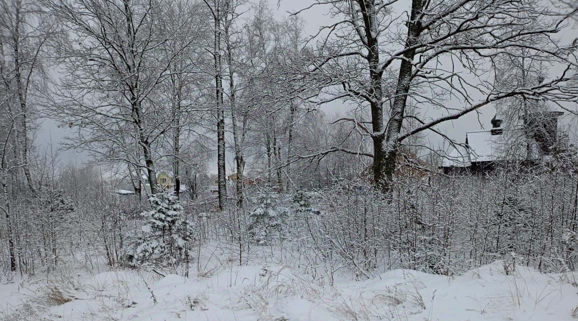 офис городской округ Орехово-Зуевский д Никулино фото 1