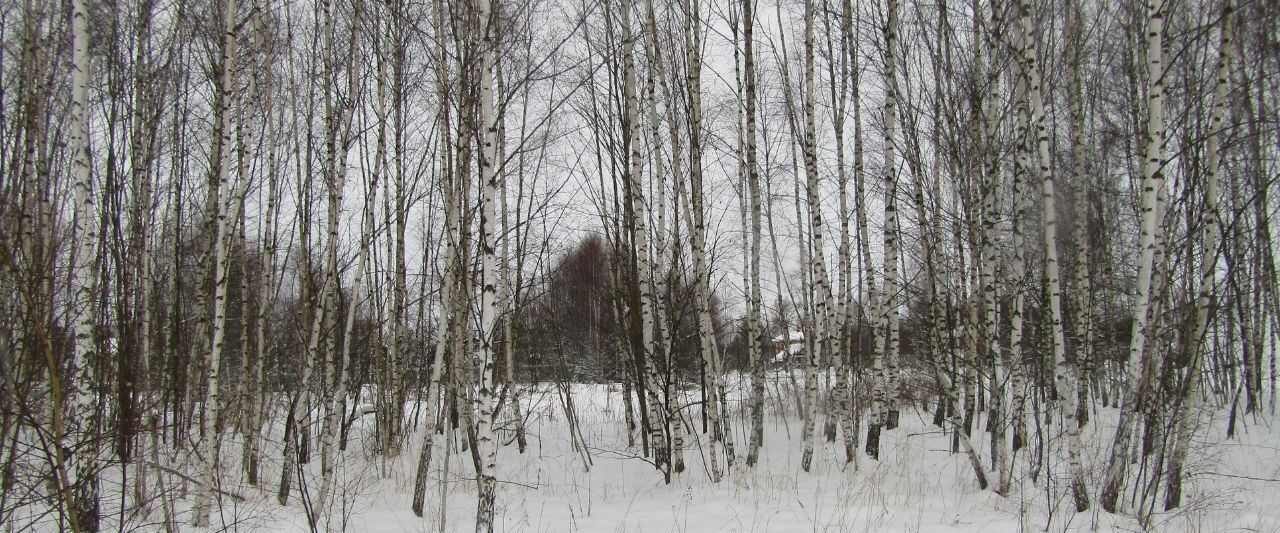 офис городской округ Рузский д Лобково фото 1