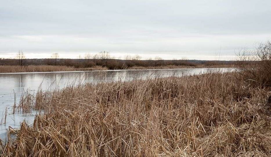 земля городской округ Ступино д Головлино ул Киреевская фото 4