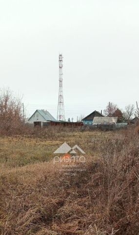 с Сосновка сельсовет, Совхозный фото