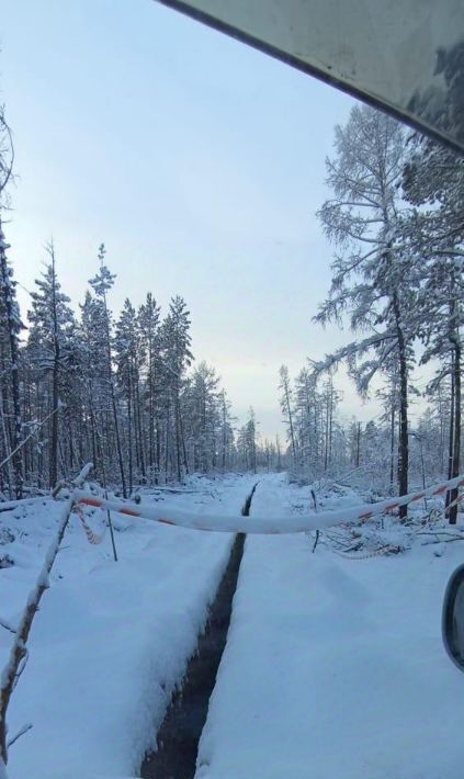 земля у Мегино-Кангаласский п Нижний Бестях ул Ленина фото 1