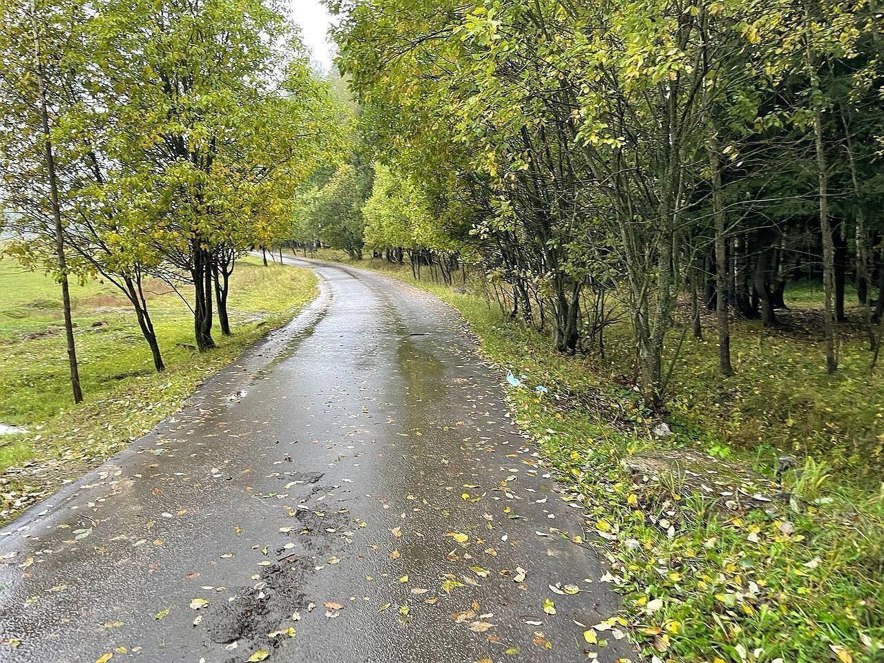 земля городской округ Дмитровский д Удино 151 фото 10