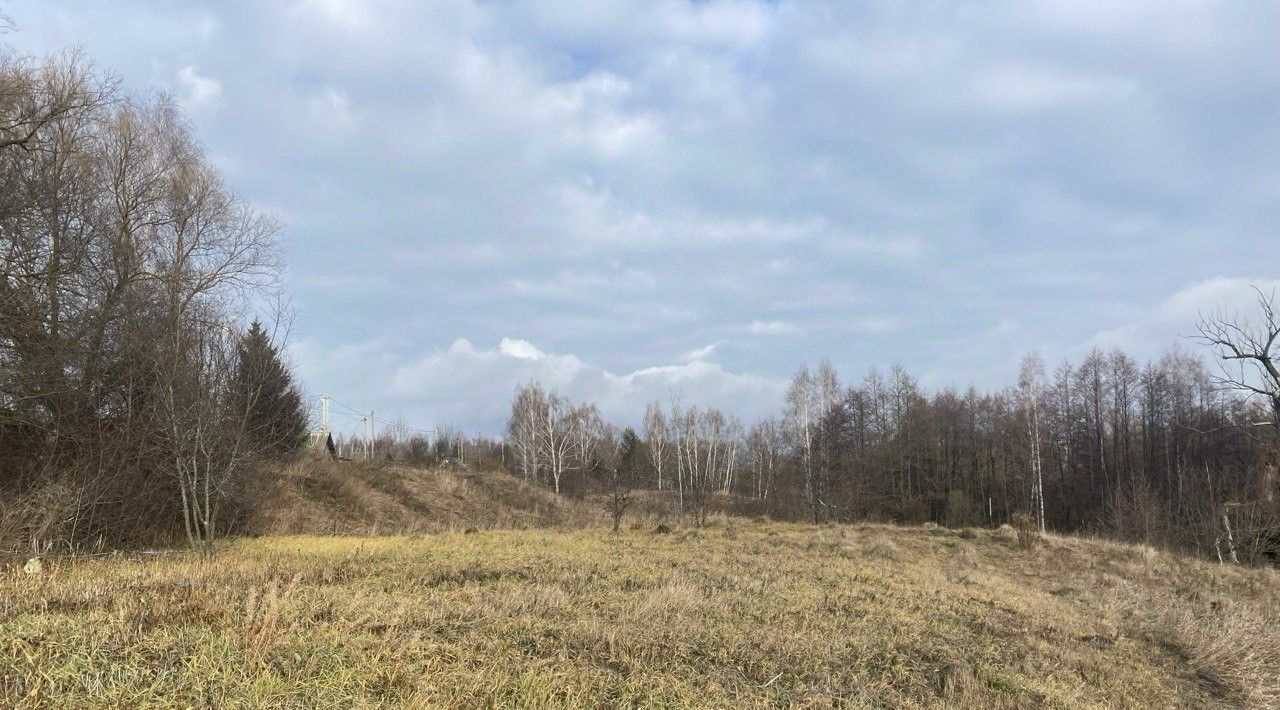 офис городской округ Серебряные Пруды д Никольское фото 1