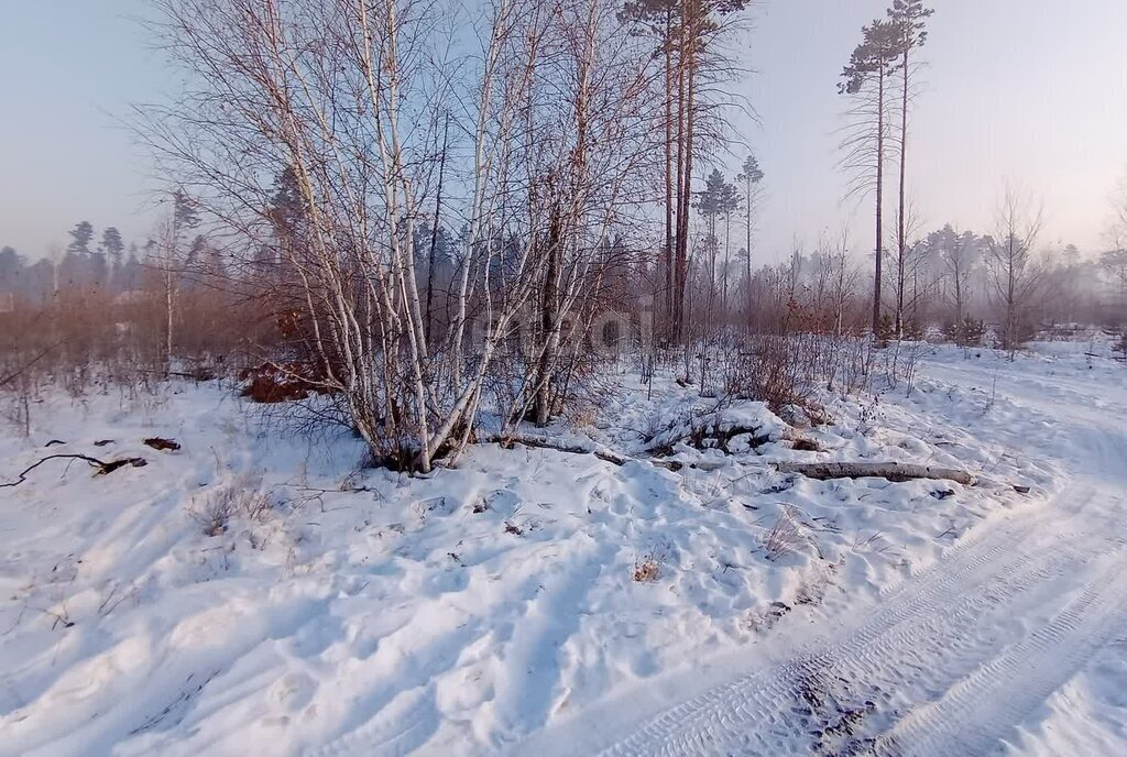 земля р-н Читинский с Смоленка фото 4