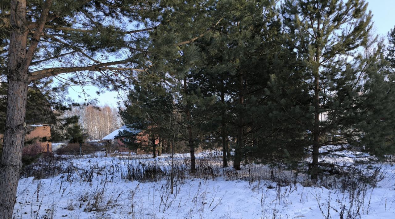 земля городской округ Раменский д Глебово Раменское, 67 фото 2