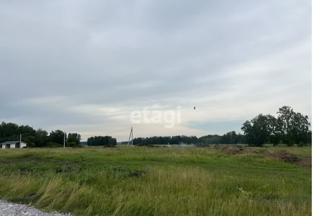 земля р-н Новосибирский снт Нива Раздольненский сельсовет, Новосибирск фото 4