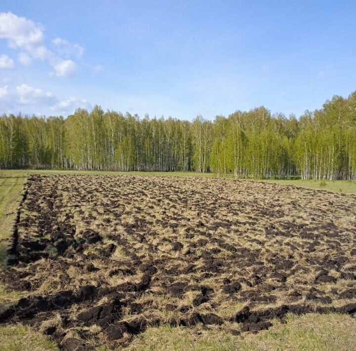 земля р-н Богдановичский с Каменноозёрское Богданович городской округ фото 3