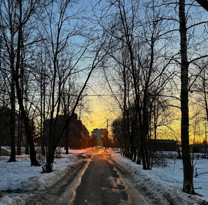 квартира г Павловск метро Купчино ул Пионерская 1к/1 фото 33