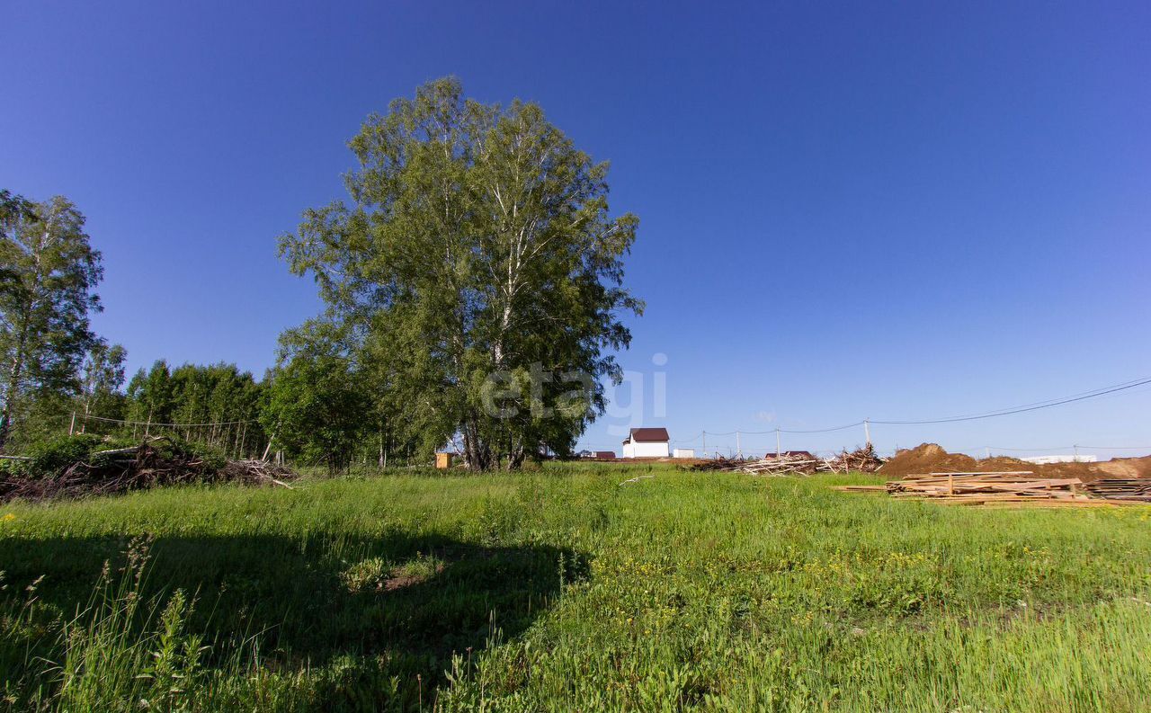 дом р-н Новосибирский Каменский сельсовет, мкр-н Гармония, 17-я ул., 41, Новосибирск фото 13