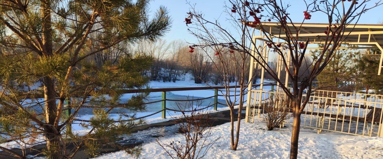 квартира г Новосибирск метро Площадь Гарина-Михайловского р-н Ленинский ул 1-я Шоссейная 54 фото 18