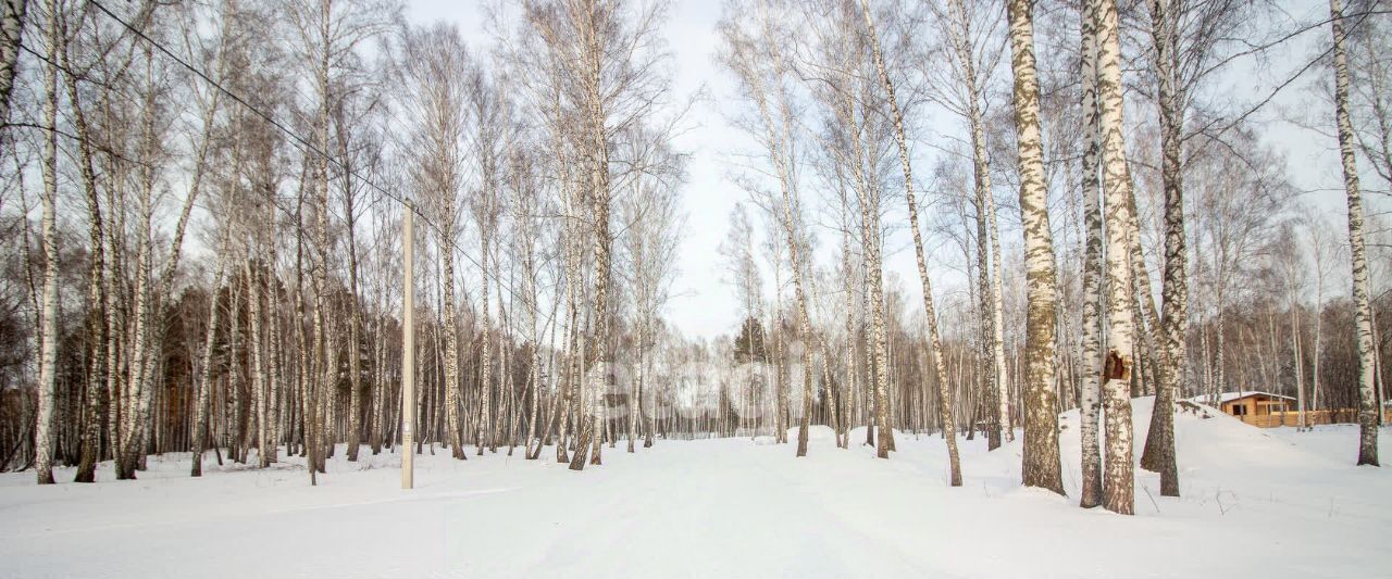 земля р-н Томский п Синий Утёс мкр Крутоярский фото 8