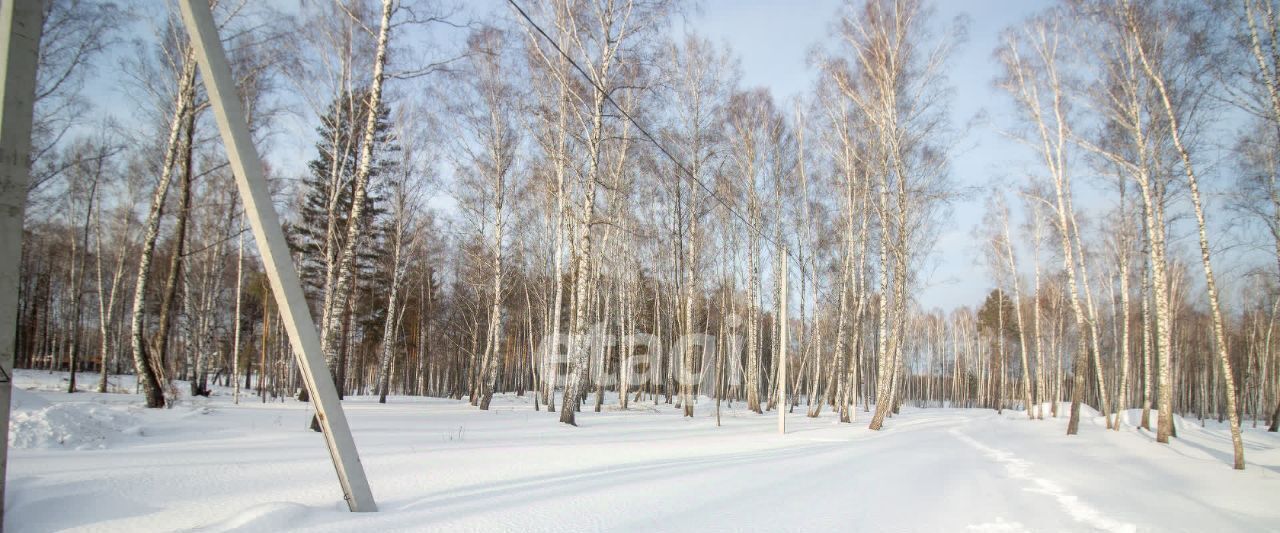 земля р-н Томский п Синий Утёс мкр Крутоярский фото 6