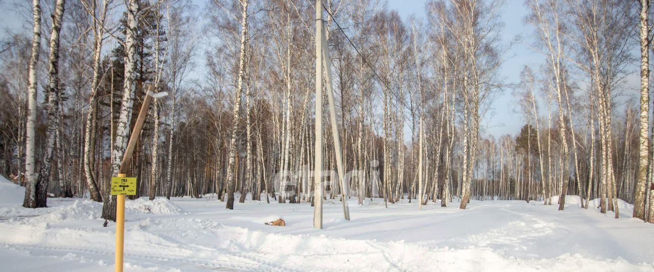 земля р-н Томский п Синий Утёс мкр Крутоярский фото 10