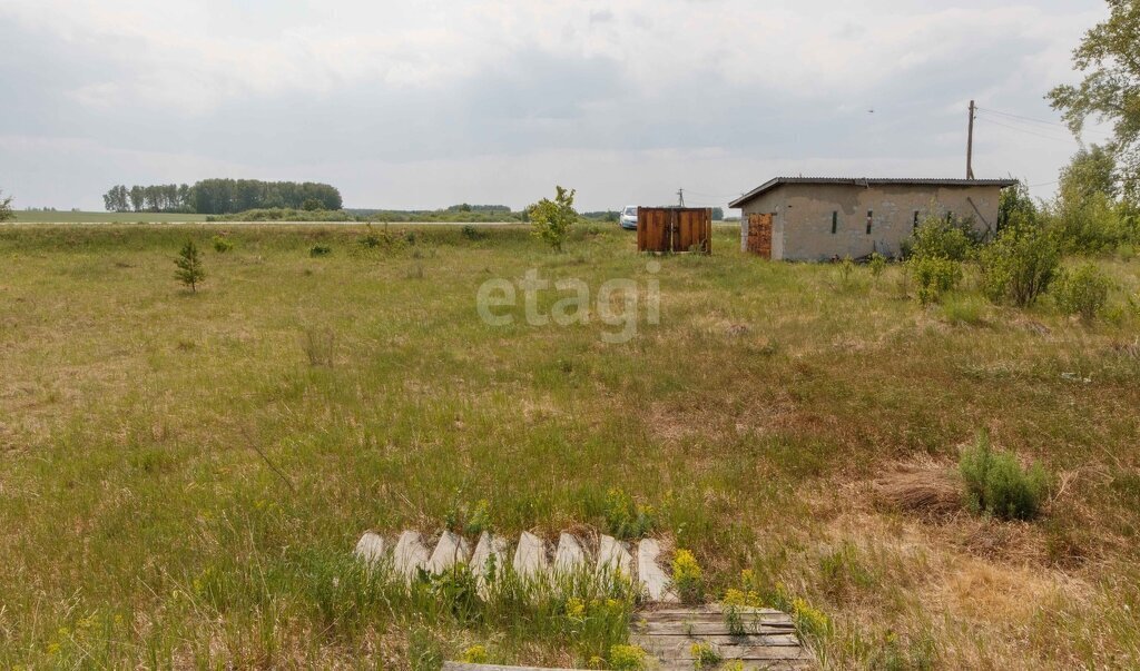 дом р-н Ишимский с Гагарино ул Мира фото 18