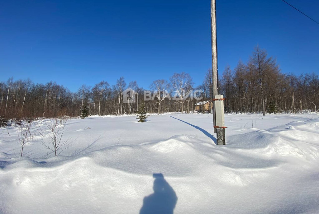 земля г Южно-Сахалинск тер ДНТ Нарколог фото 2