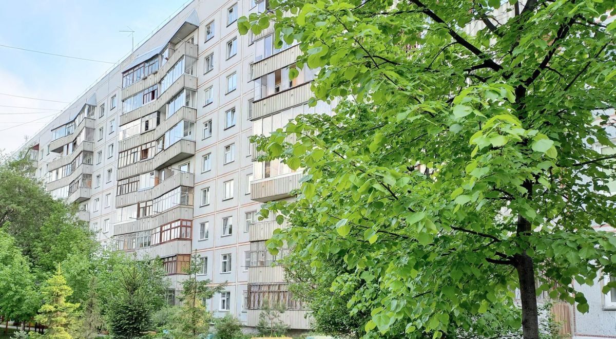 квартира г Новосибирск р-н Советский Академгородок ул Героев Труда 33а фото 17