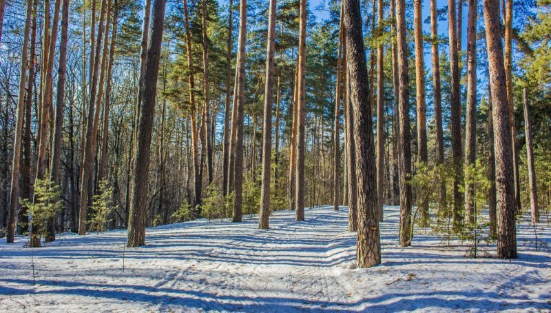 дом р-н Белоярский п Гагарский ул 3-я Парковая загородный комплекс Лайф фото 8