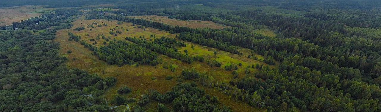 земля городской округ Можайский 124 км, Уваровка, Минское шоссе, д. Замошье фото 5