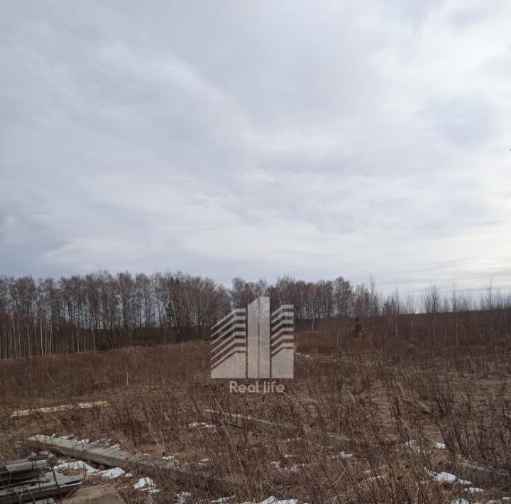 земля городской округ Ступино д Марьинское снт Марьинское фото 1