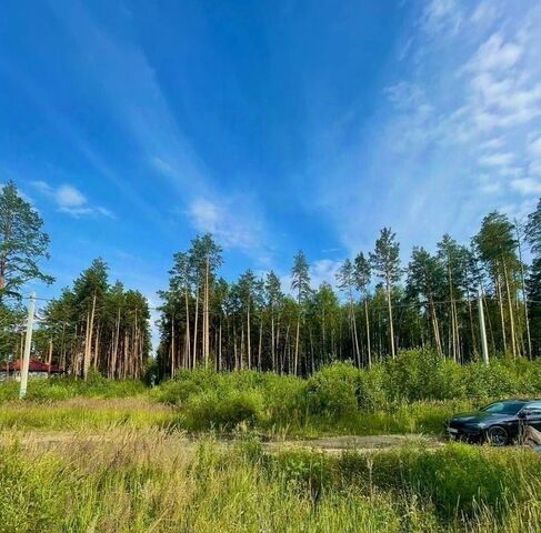 п Садовый пер Потешный муниципальное образование фото