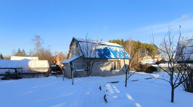 Геологическая снт Елочка фото