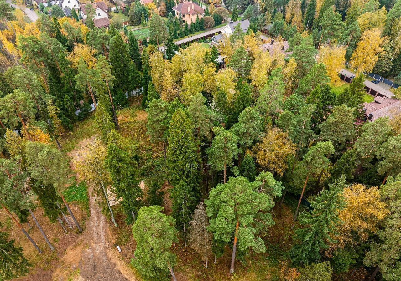 земля городской округ Одинцовский с Иславское 25 км, территория Лесные Дали, Звенигород, Рублёво-Успенское шоссе фото 3