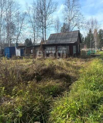 Раздольненский сельсовет, садоводческое некоммерческое товарищество Луч фото