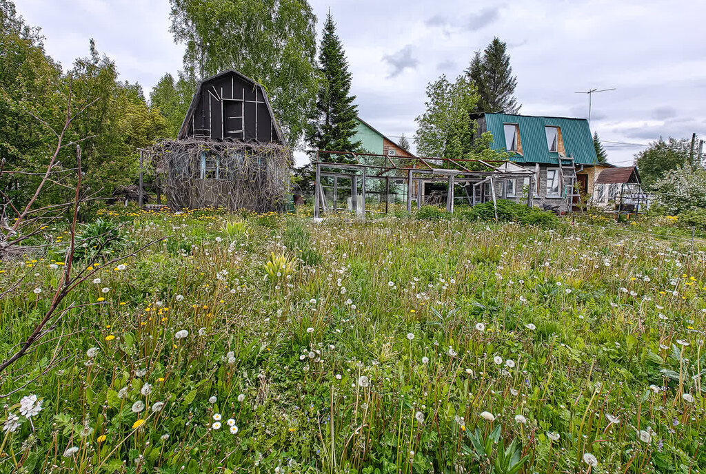 дом Станционный сельсовет, Берёзовая Роща, СТ Планер фото 1