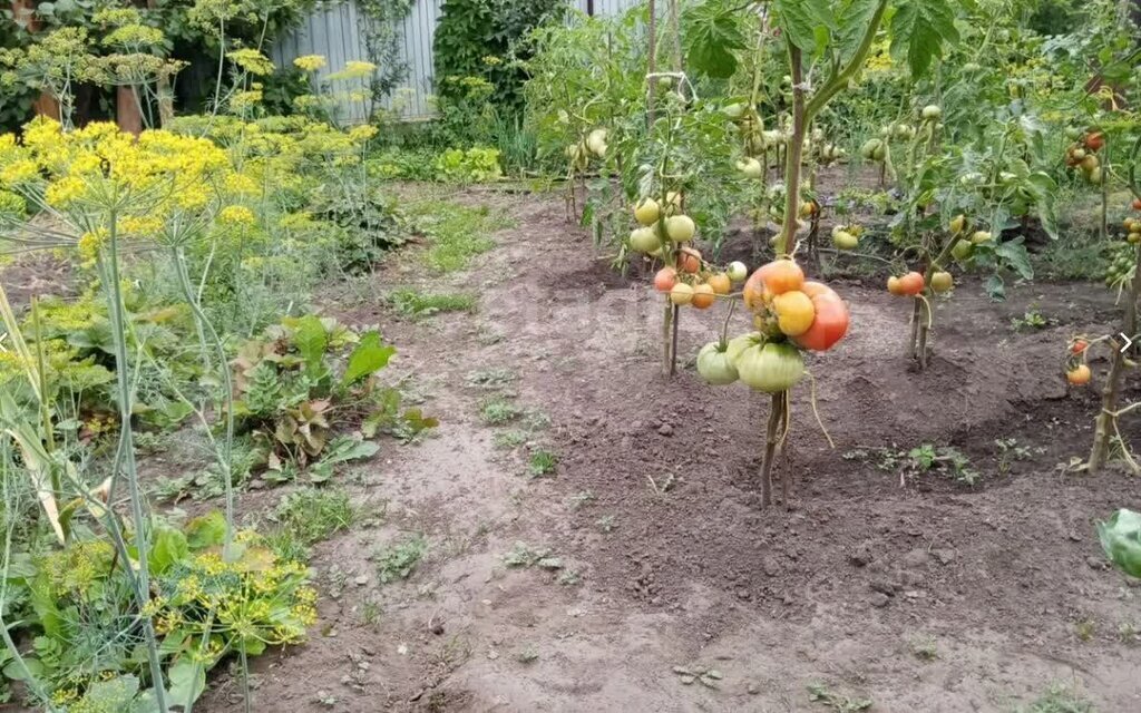 дом г Новосибирск снт Весна Площадь Маркса фото 3