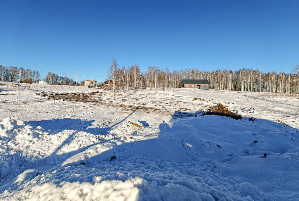 земля г Новосибирск метро Площадь Гарина-Михайловского ул Приозерная село Раздольное фото 4