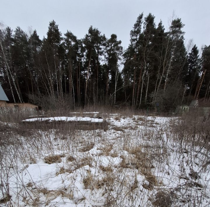 земля городской округ Раменский д Пласкинино снт Звездочка Ипподром фото 1