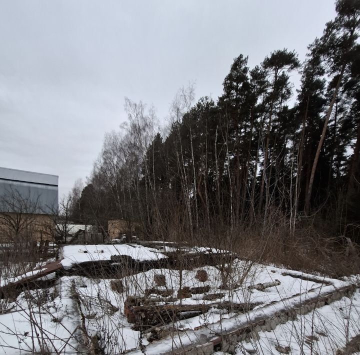 земля городской округ Раменский д Пласкинино снт Звездочка Ипподром фото 2