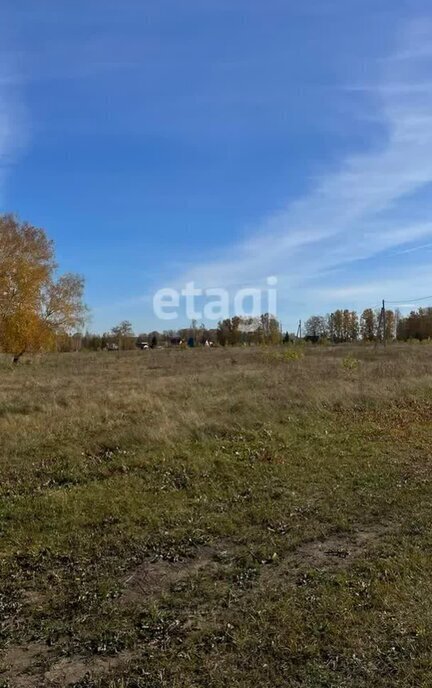 земля г Бердск жилой район «Раздольный» фото 4