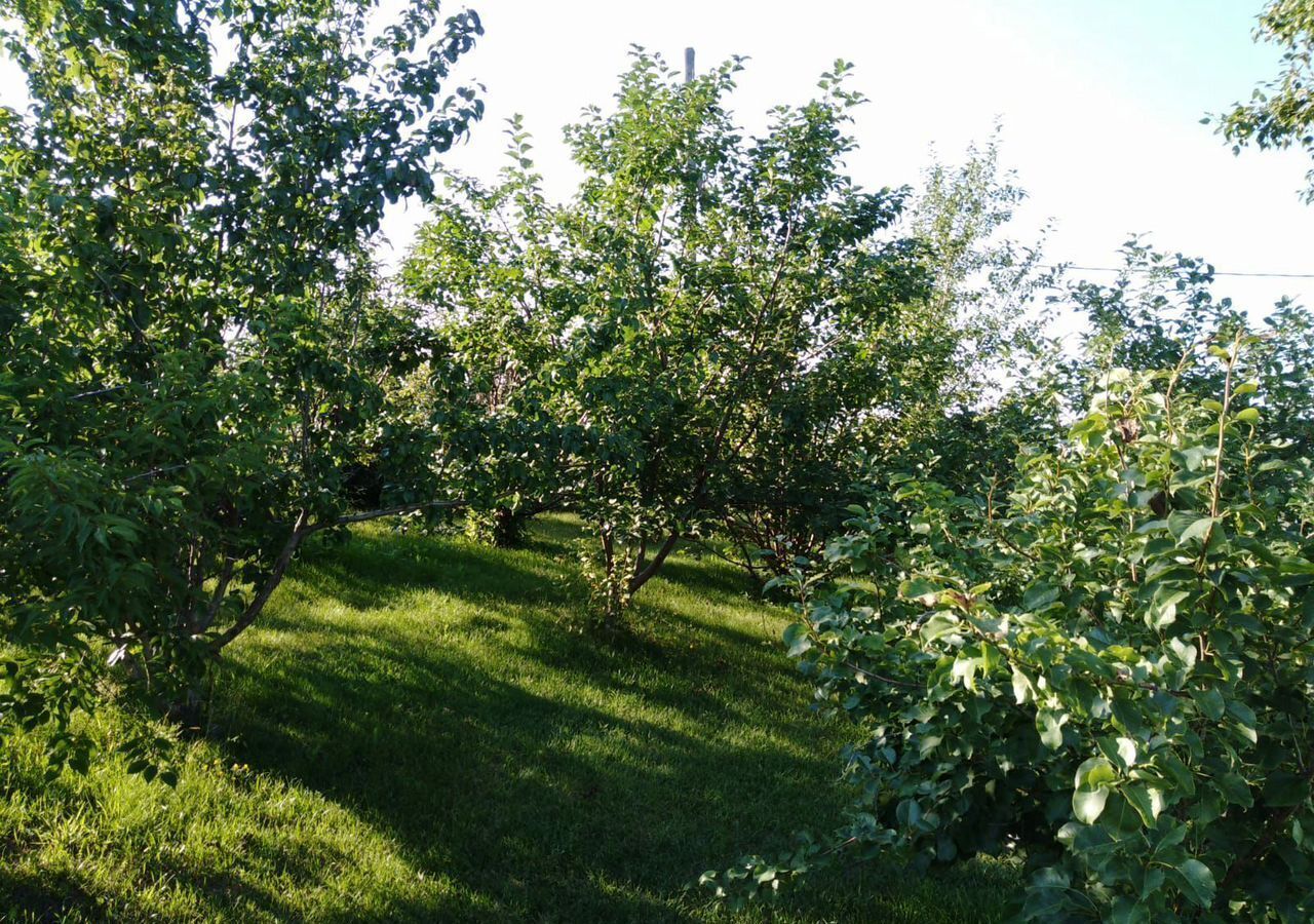 дом р-н Рубцовский с Захарово Безрукавский сельсовет, Рубцовск фото 5