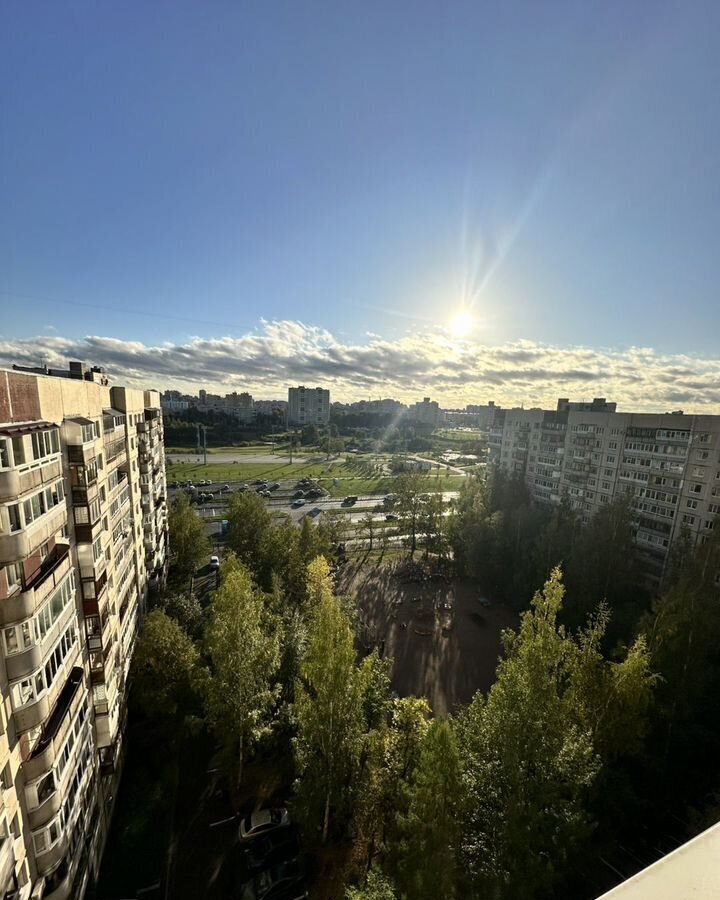 квартира г Санкт-Петербург метро Гражданский Проспект пр-кт Луначарского 108к/1 фото 5