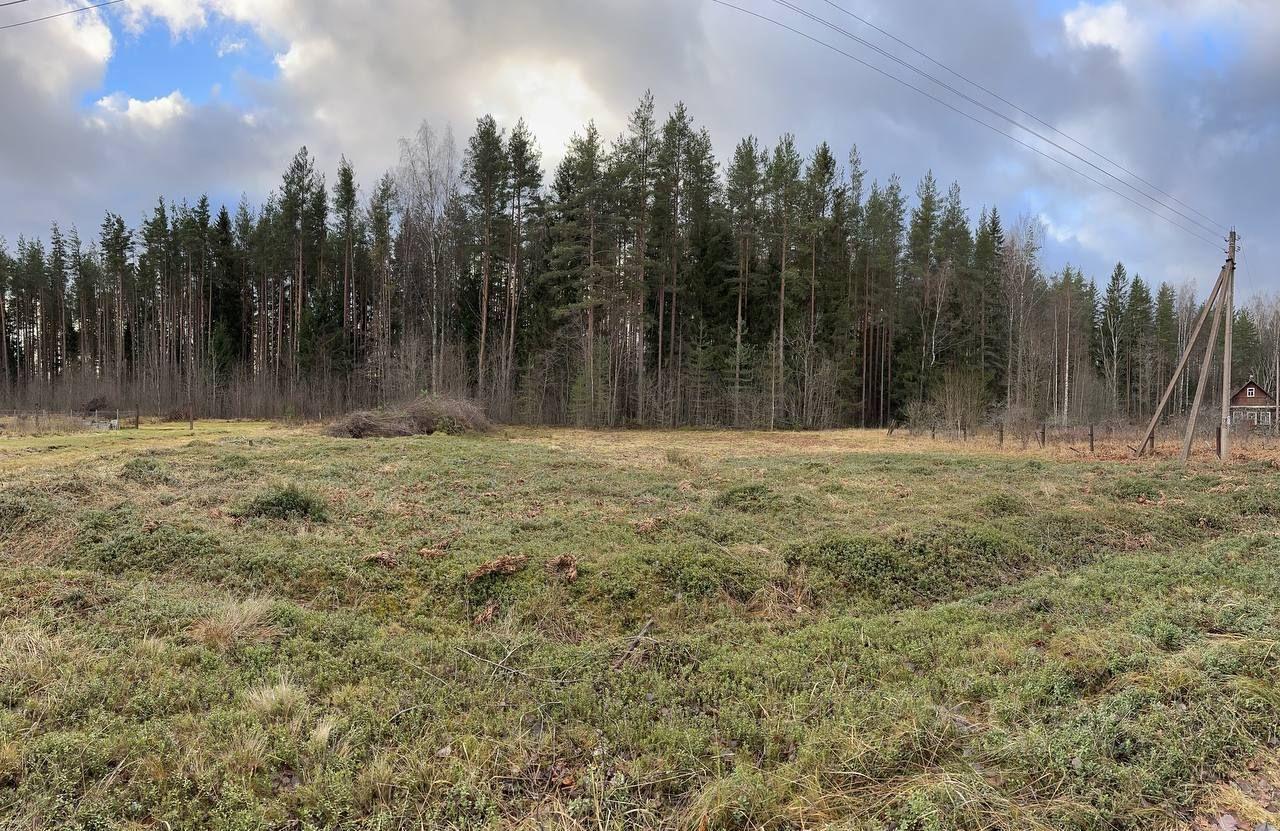 земля р-н Всеволожский д Ваганово Рахьинское городское поселение, Ваганово-2, 9, Рахья фото 9