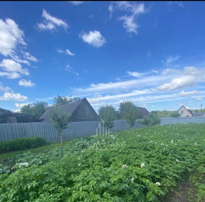 дом р-н Суражский г Сураж ул Максима Горького 6 Суражское городское поселение фото 16