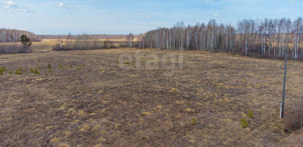 земля р-н Нижнетавдинский с Бухтал Бухтальское сельское поселение фото 18