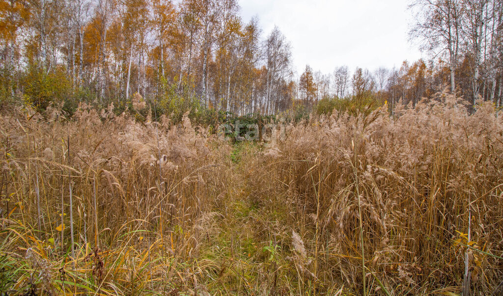 земля г Тюмень снт Сосновая поляна ул 5-я фото 5