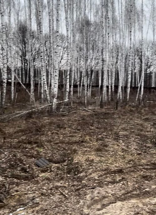 земля р-н Ленинский с Частое ул Сельская городской округ Тула фото 1