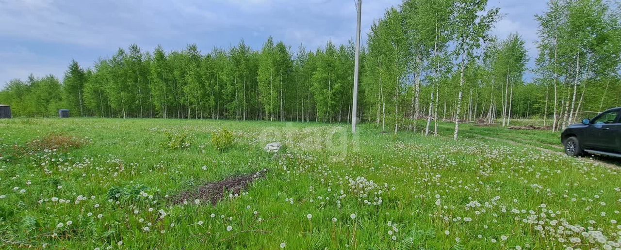 земля р-н Медведевский д Новотроицк ул Вишневая Сидоровское сельское поселение, Йошкар-Ола фото 5