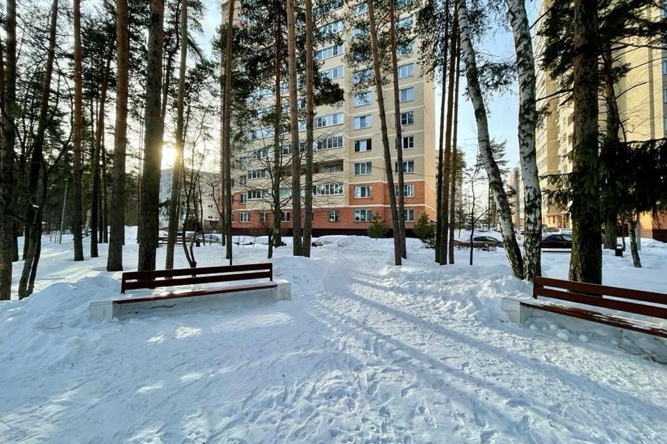 квартира городской округ Богородский п Зеленый ул Школьная 9 фото 3