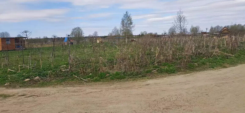 земля р-н Волосовский д Руссковицы Большеврудское сельское поселение фото 1