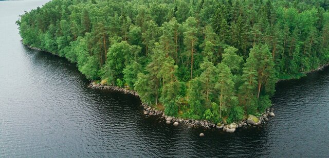 Приморское городское поселение, коттеджный посёлок Сосновый пляж фото