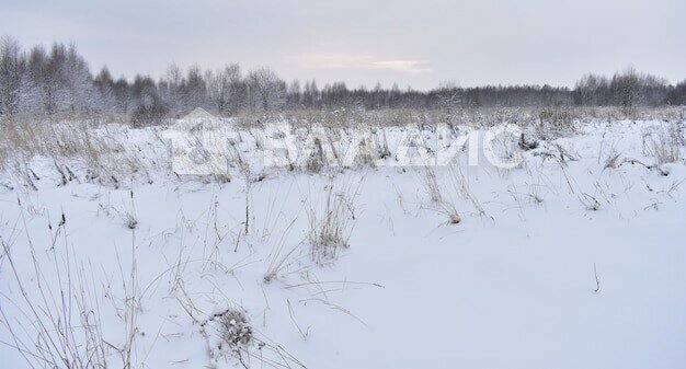 земля р-н Прионежский п Новая Вилга Нововилговское сельское поселение фото 2